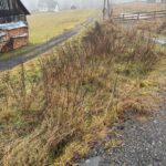 Karczowanie działki Bielsko Biała