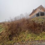 Karczowanie działki Bielsko Biała